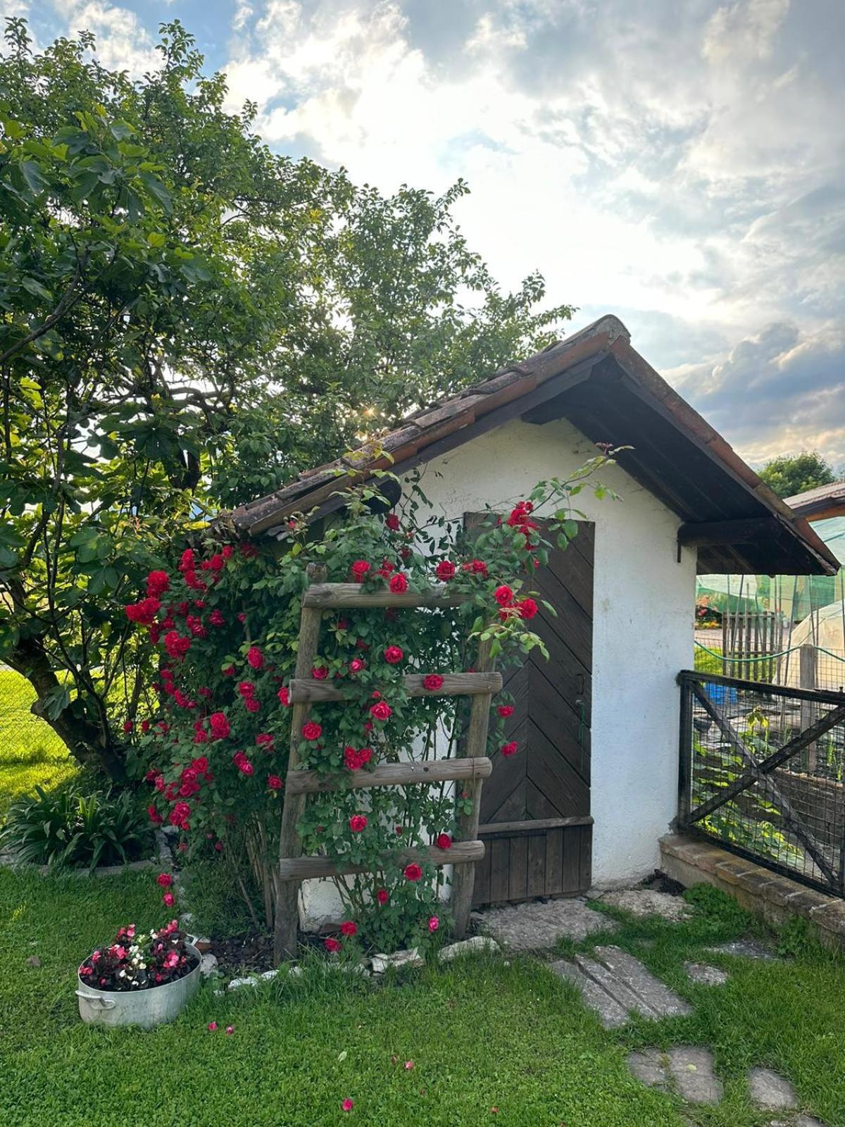 Casa Giovannella フェルトレ エクステリア 写真